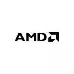 amd
