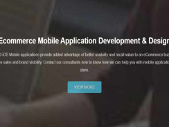eCommerce Website Development Company in India