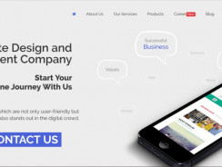 Web development company in India