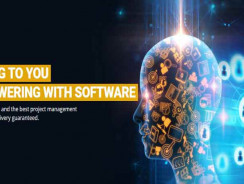 VI Software