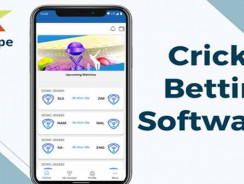 Entertain users with a cricket bookie software