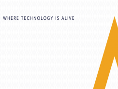 Ashtech – IT Consulting