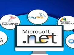 Software Development Company Bangalore India