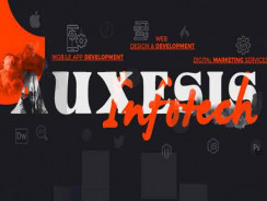 Professional WordPress Plugin Development