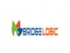 BridgeLogic