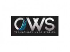 CWS Technology