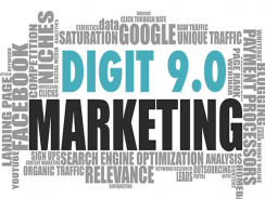 Digit 9 – Digital Marketing