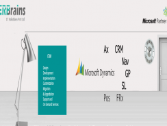 ERBrains | MS Dynamics Consulting