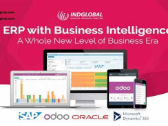 ERP Software Development Company