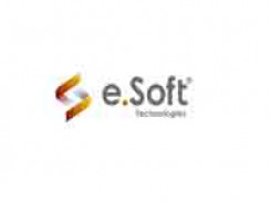e.Soft Technologies
