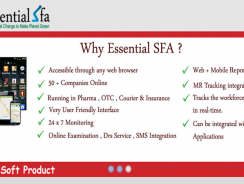 Online SFA