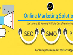 Web Developer in Delhi