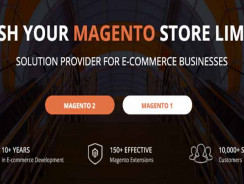 Best Magento Development Company From USA