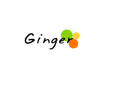Ginger Webs – Testing & Assessment Solution Provider