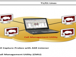 Voice Call Management