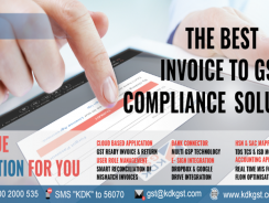 Zen Income Tax Auditor Edition