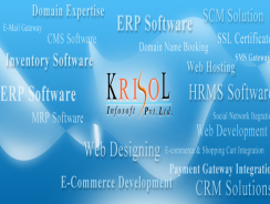 Krisol ERP – Textile Industry