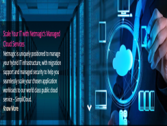 Netmagic Disaster Recovery