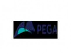 Pega CRM