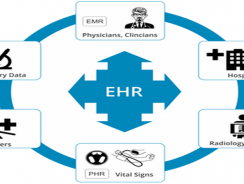 Pisoftek EHR
