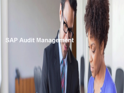 SAP Audit Management