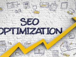 SEO New Delhi