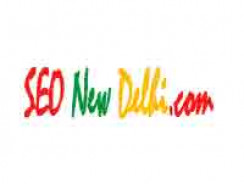 SEO New Delhi