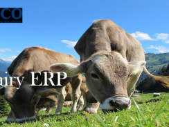 Dairy ERP