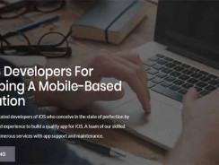 Top iOS App Developers