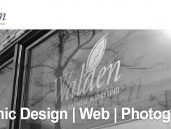 Web Design Company Toronto