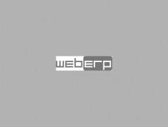 Web ERP