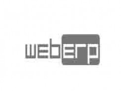 Web ERP