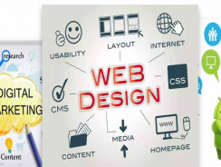 Website Designing Firms in Delhi